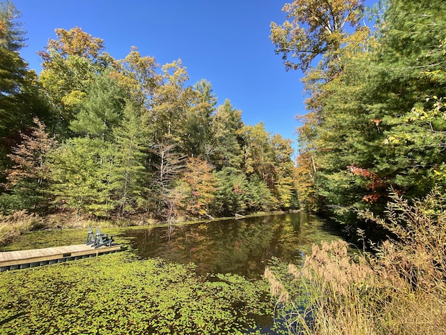 431 Harold Luke Rd, Campton, KY 41301 - view of yard featuring a view of trees and a water view