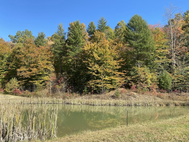 431 Harold Luke Rd, Campton, KY 41301 - view of woods with a water view