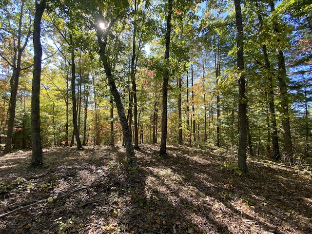 431 Harold Luke Rd, Campton, KY 41301 - view of woods