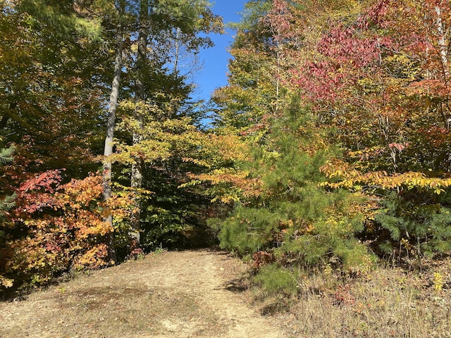 431 Harold Luke Rd, Campton, KY 41301 - view of woods