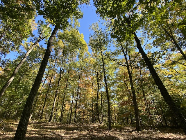 431 Harold Luke Rd, Campton, KY 41301 - view of local wilderness