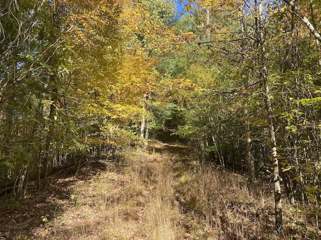 431 Harold Luke Rd, Campton, KY 41301 - view of wooded area