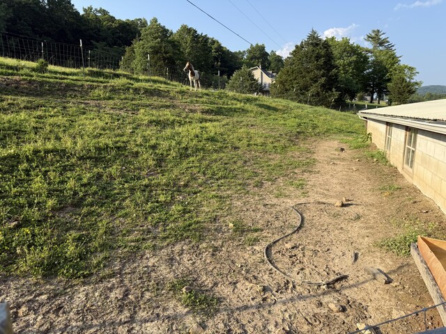1034 Duncan Valley Rd, Monticello, KY 42633 - view of yard
