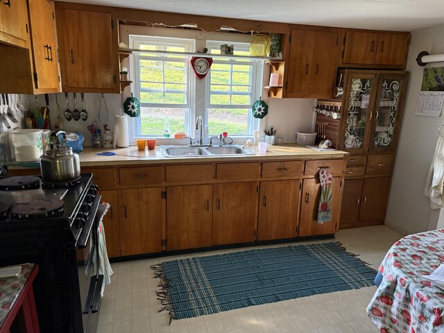 1034 Duncan Valley Rd, Monticello, KY 42633 - kitchen with open shelves, a sink, gas stove, and light countertops