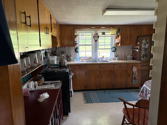1034 Duncan Valley Rd, Monticello, KY 42633 - kitchen featuring a sink, black range with gas stovetop, brown cabinetry, and light countertops