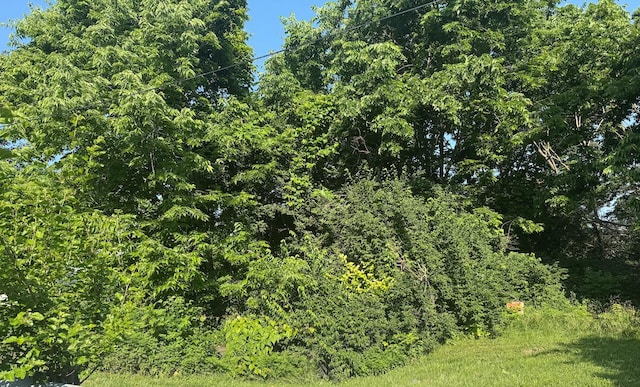 318 Perry St, Lexington, KY 40508