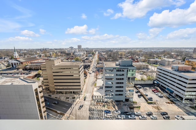 103 S Limestone St Unit 1150, Lexington, KY 40507 - view of city