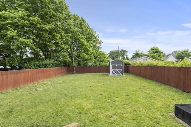 559 Breckenridge St, Lexington, KY 40508 - view of yard