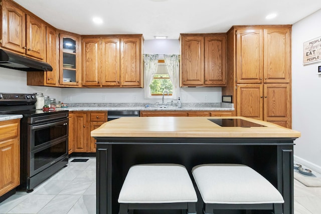 21 Vicki St, Nancy, KY 42544 - kitchen with appliances with stainless steel finishes, under cabinet range hood, a sink, light countertops, and brown cabinetry