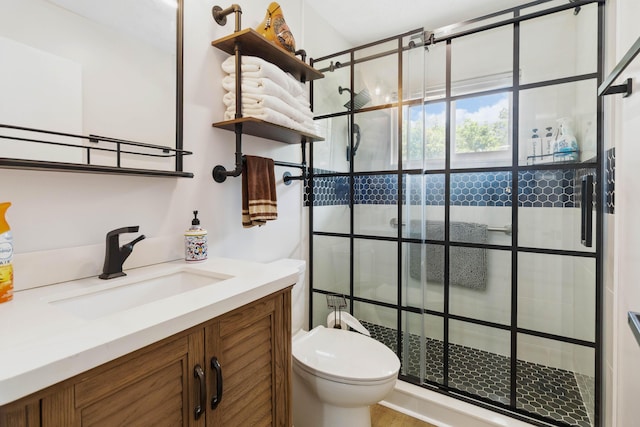 21 Vicki St, Nancy, KY 42544 - bathroom featuring a shower stall, vanity, and toilet