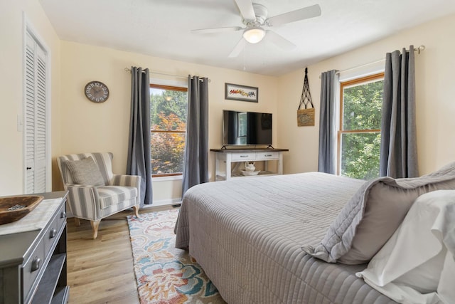 21 Vicki St, Nancy, KY 42544 - bedroom with multiple windows, light wood-type flooring, and ceiling fan