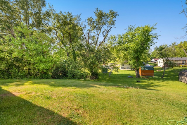 710 E Main St, Danville, KY 40422 - view of grassy yard