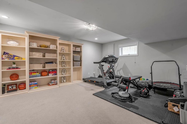 2245 Abbeywood Rd, Lexington, KY 40515 - exercise area with carpet floors