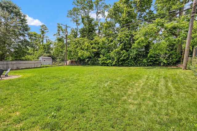 263 S Eagle Creek Dr, Lexington, KY 40515 - view of yard