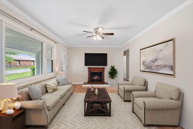 1780 Ballard Rd, Lawrenceburg, KY 40342 - living room with light wood finished floors, a ceiling fan, ornamental molding, a warm lit fireplace, and a textured ceiling