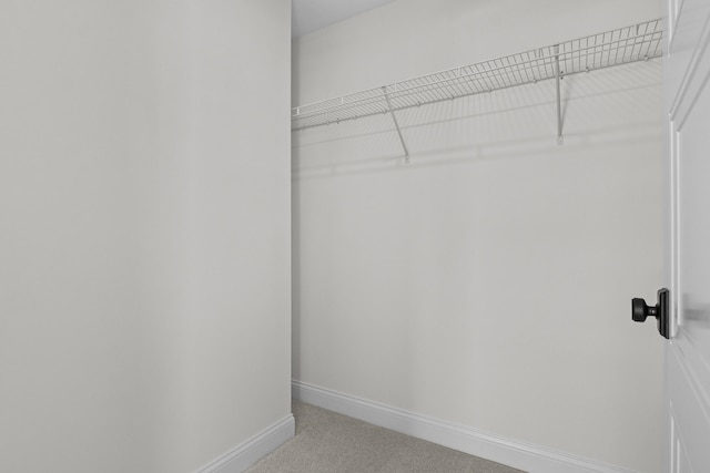 3521 Harper Woods Ln, Lexington, KY 40515 - walk in closet featuring light carpet