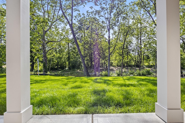 3521 Harper Woods Ln, Lexington, KY 40515 - view of yard