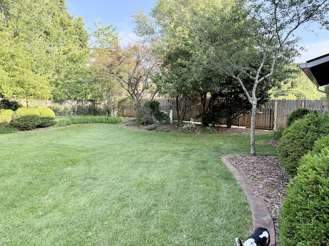 4516 Clubhouse Dr, Lexington, KY 40514 - view of yard