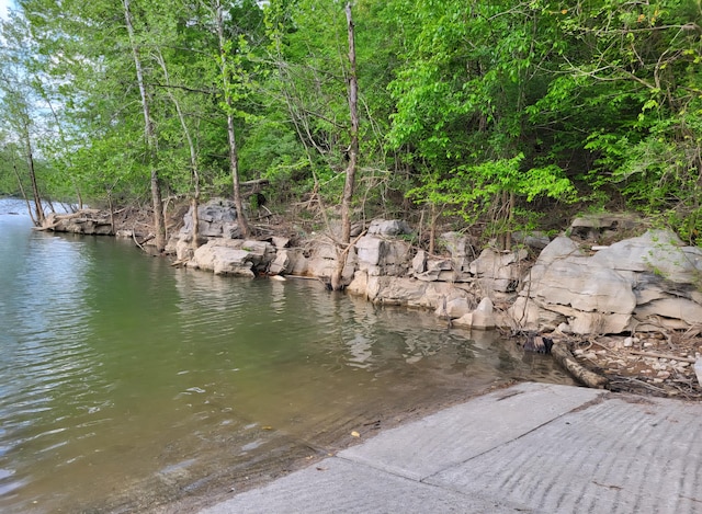 1150 Haynes Knob Rd, Somerset, KY 42501 - view of dock