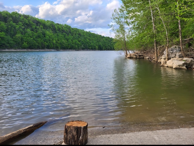 1150 Haynes Knob Rd, Somerset, KY 42501 - water view featuring a forest