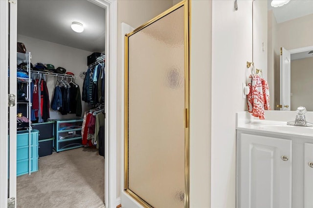 2713 Ella Rae Ct, Lexington, KY 40511 - full bath featuring a shower stall, vanity, and a walk in closet