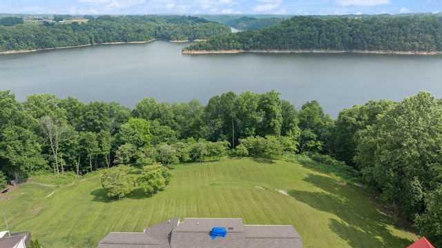1636 Green Hill Estates Rd, Monticello, KY 42633 - aerial view of a nearby body of water and a forest