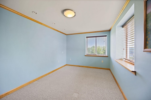 1636 Green Hill Estates Rd, Monticello, KY 42633 - empty room with ornamental molding, carpet floors, and baseboards