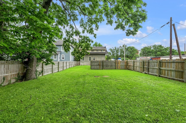 109 N Ashland Ave, Lexington, KY 40502 - view of yard