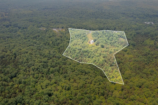 2200 Kays Branch Rd, Owenton, KY 40359 - view of property location featuring a forest and property parcel outlined