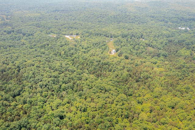2200 Kays Branch Rd, Owenton, KY 40359 - drone / aerial view of a forest