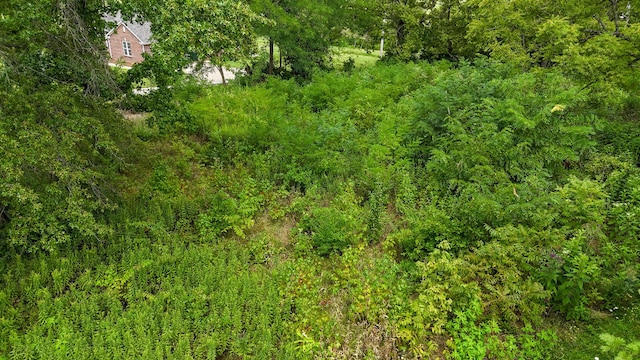 2180 Scotts Ferry Rd, Versailles, KY 40383