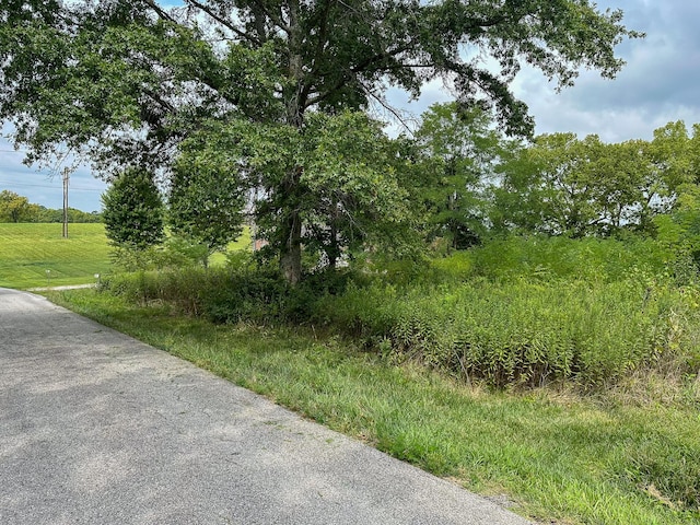 2180 Scotts Ferry Rd, Versailles, KY 40383
