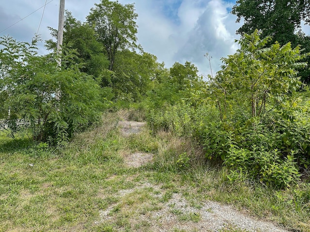 2180 Scotts Ferry Rd, Versailles, KY 40383