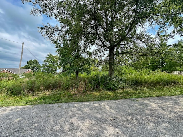 2180 Scotts Ferry Rd, Versailles, KY 40383