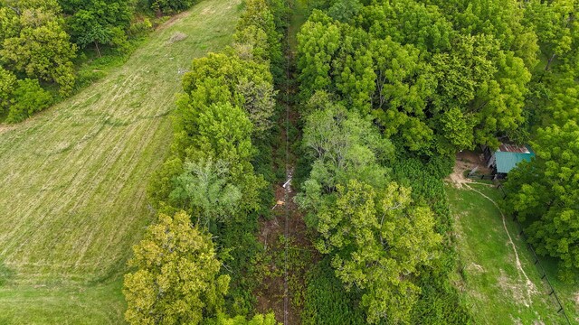 2180 Scotts Ferry Rd, Versailles, KY 40383