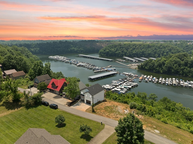 877 Hideaway Dr, Somerset, KY 42503 - aerial view of numerous boat docks and a nearby body of water