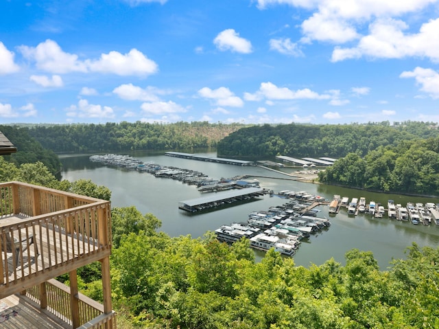877 Hideaway Dr, Somerset, KY 42503 - water view with a marina and a forest