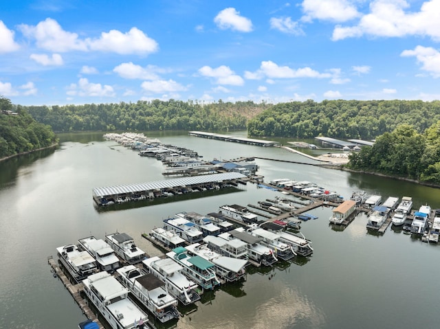 877 Hideaway Dr, Somerset, KY 42503 - bird's eye view of a large body of water and a heavily wooded area