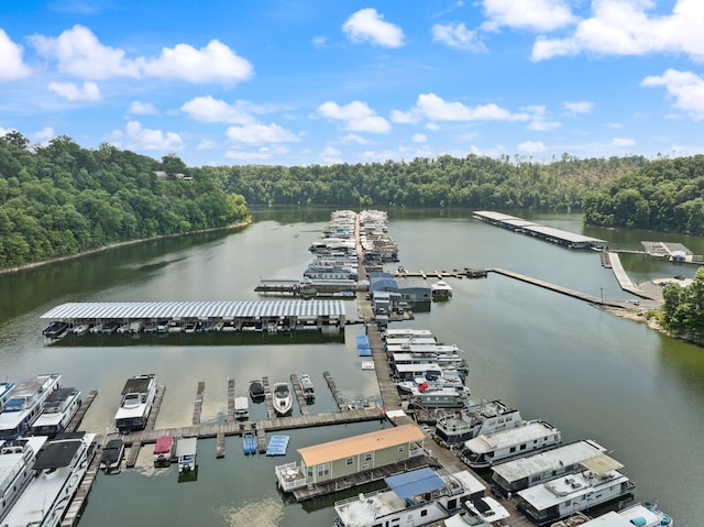 877 Hideaway Dr, Somerset, KY 42503 - aerial view of a forest and a nearby body of water