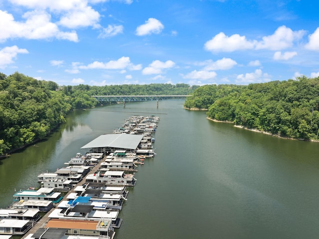 877 Hideaway Dr, Somerset, KY 42503 - aerial view of a large body of water, a notable bridge, and a heavily wooded area