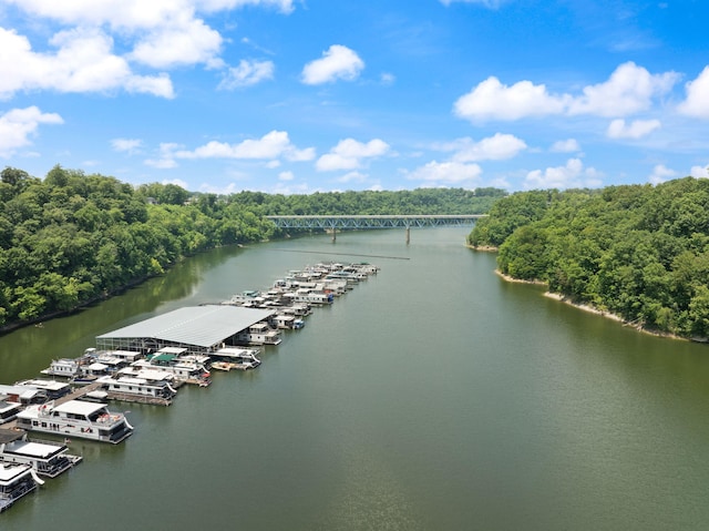 877 Hideaway Dr, Somerset, KY 42503 - aerial view of a nearby body of water, a notable bridge, and a heavily wooded area