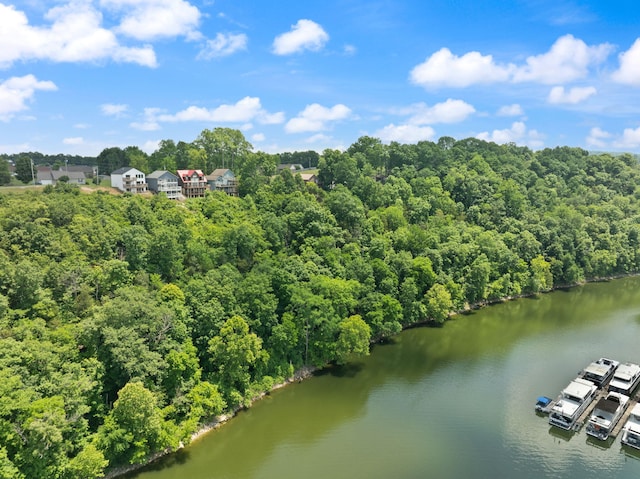 877 Hideaway Dr, Somerset, KY 42503 - drone / aerial view of a large body of water and a forest