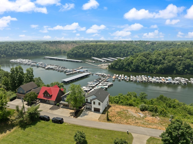 877 Hideaway Dr, Somerset, KY 42503 - aerial view of numerous boat docks, a large body of water, and a heavily wooded area