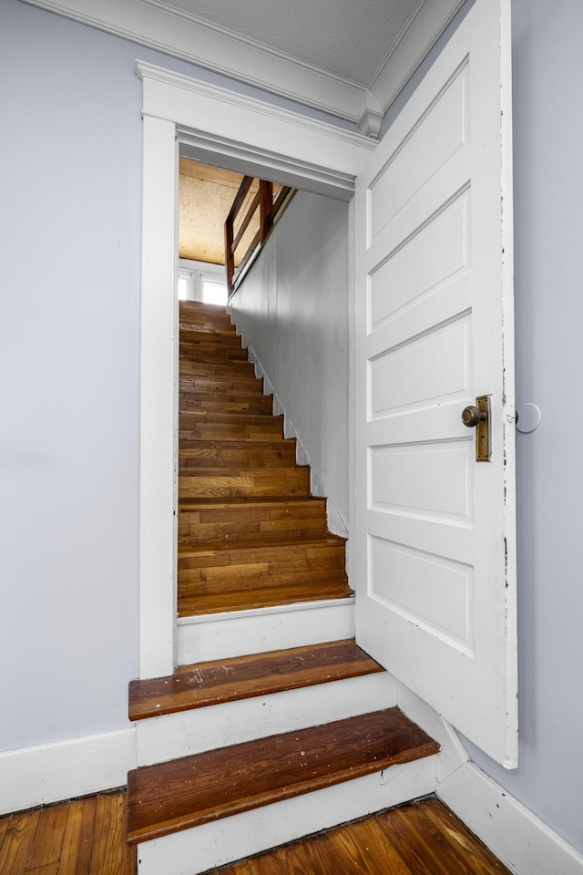 2465 Talmage-Mayo Rd, Harrodsburg, KY 40330 - stairs featuring ornamental molding and wood finished floors