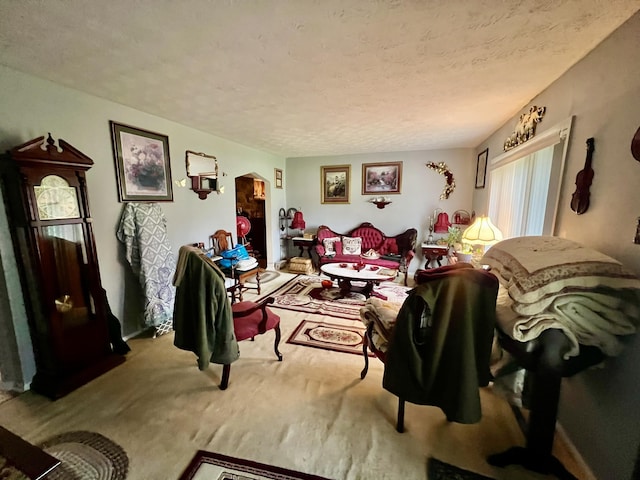 2369 Big Cave Rd, Mount Vernon, KY 40456 - living area featuring arched walkways, carpet, and a textured ceiling