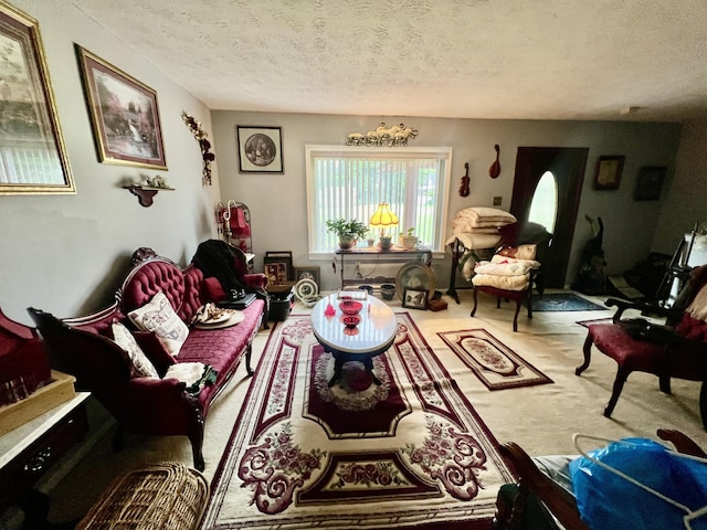 2369 Big Cave Rd, Mount Vernon, KY 40456 - carpeted living room featuring a textured ceiling