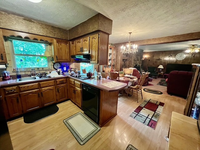 2369 Big Cave Rd, Mount Vernon, KY 40456 - kitchen with a sink, black appliances, a textured ceiling, under cabinet range hood, and light wood-type flooring