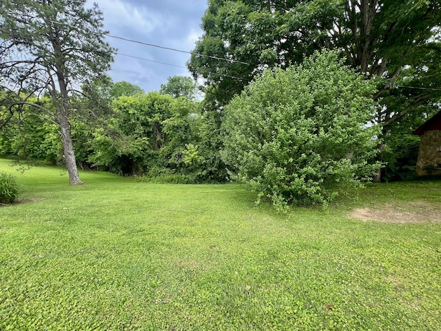 2369 Big Cave Rd, Mount Vernon, KY 40456 - view of grassy yard