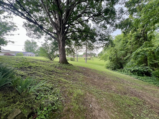 2369 Big Cave Rd, Mount Vernon, KY 40456 - view of grassy yard
