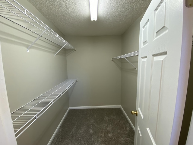 4019 Jodis Way, Somerset, KY 42503 - spacious closet featuring carpet